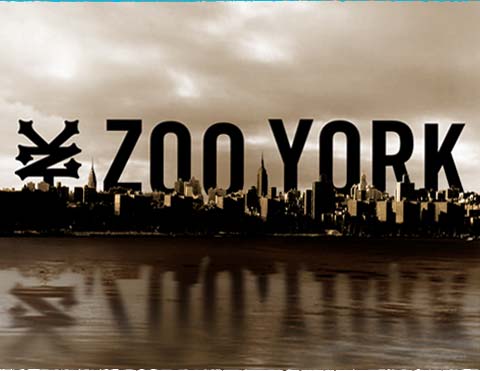 Zoo York Unbreakable